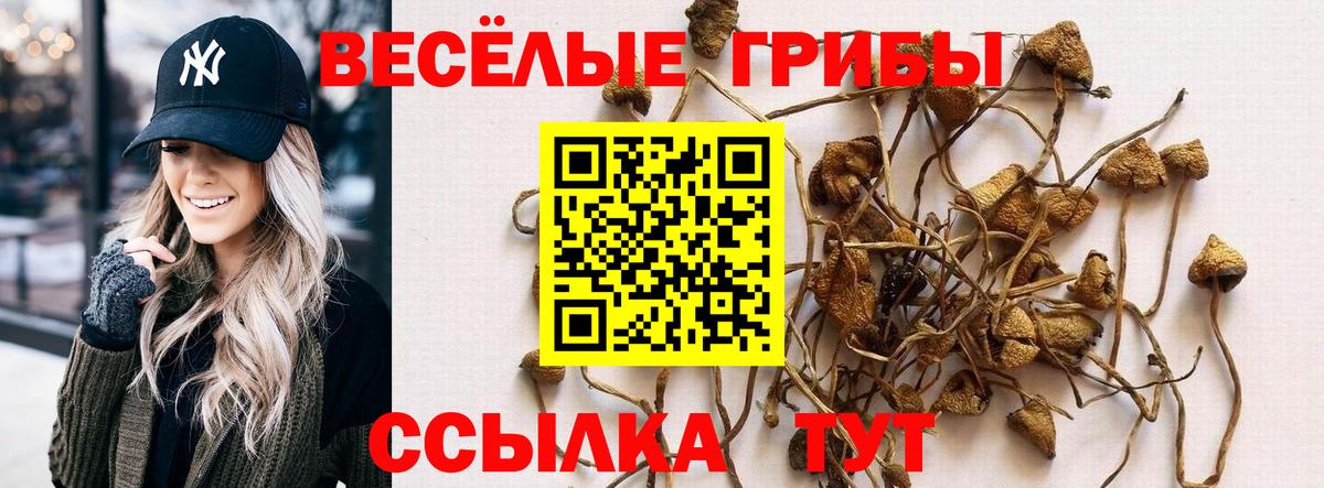 Лесосибирск  Псилоцибиновые грибы Cubensis  Вход с VPN 